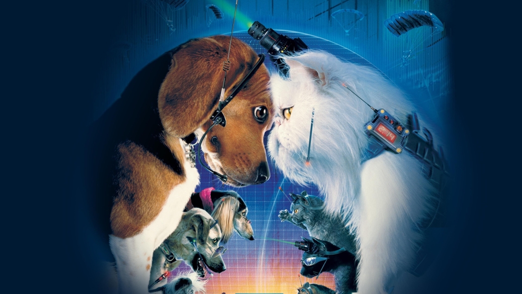 Kediler ve köpekler izle