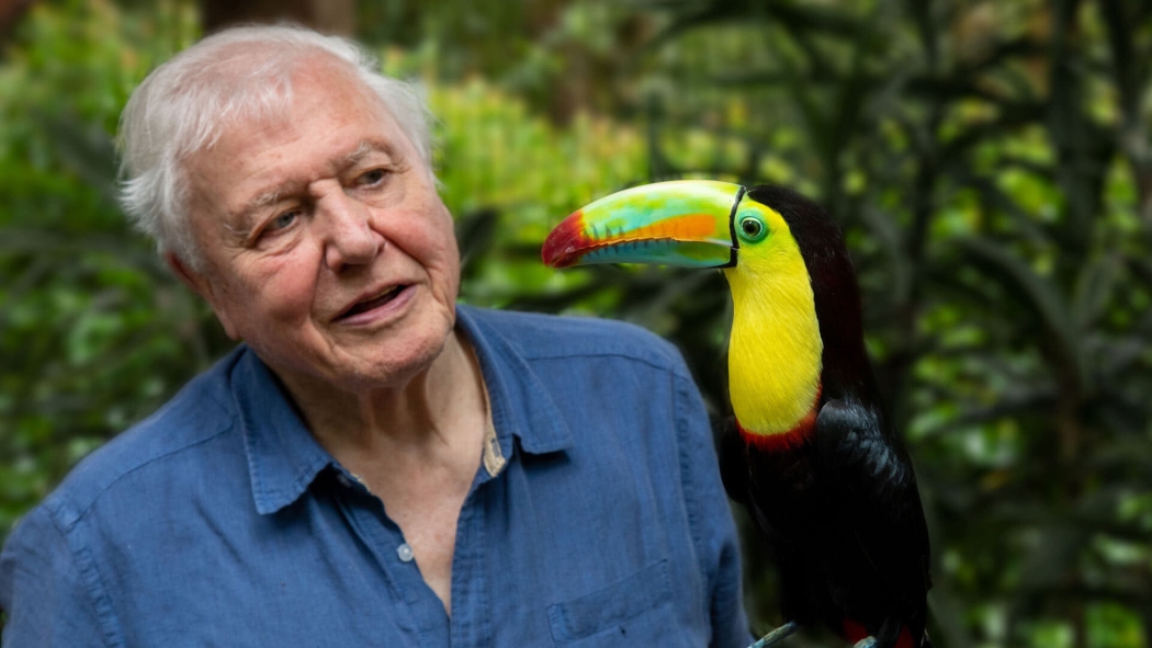 David Attenborough ile Yaşamın Renkleri 1. Sezon 1. Bölüm izle