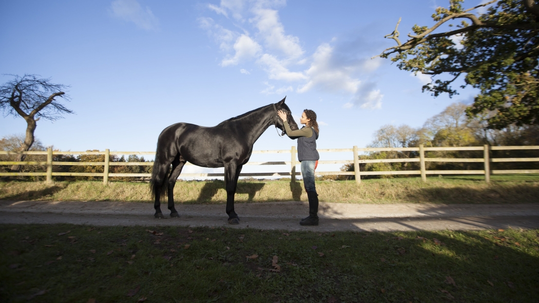 Kendini Özgür Bırak 2. Sezon 10. Bölüm izle