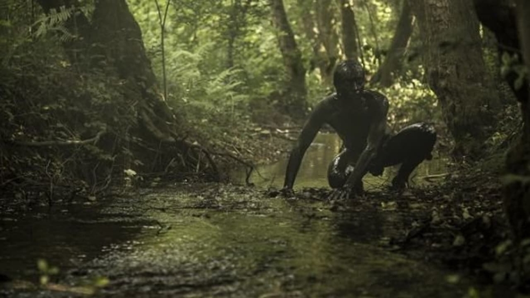 Önsezi Kitabı izle