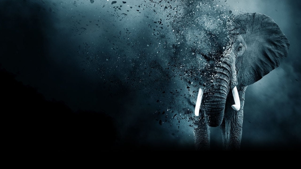 Fil Dişi Oyunu izle